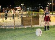 Praça de Arapiraca tem o primeiro Play Pet público de Alagoas 
