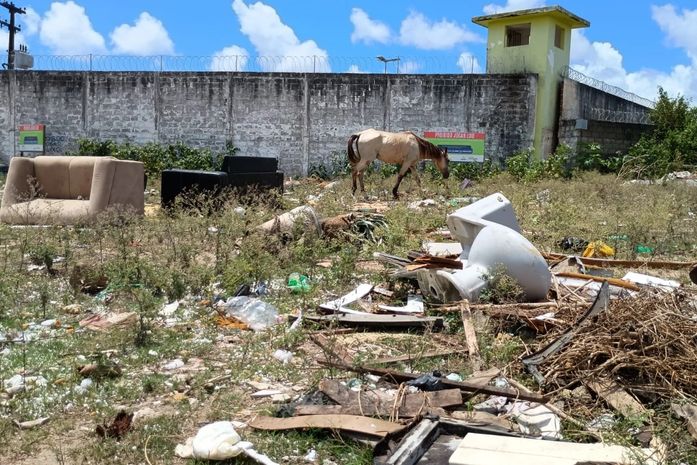 MPAL encontra lixo, entulho, animais soltos e ocupações irregulares em terreno do Estado no Tabuleiro