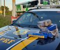 Homem é preso com 15 tabletes de maconha em ônibus que seguia do Paraná para Maceió
