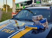 Homem é preso com 15 tabletes de maconha em ônibus que seguia do Paraná para Maceió