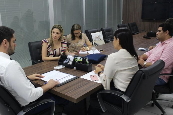 Cosems apresenta pauta de reivindicações dos municípios à Sesau