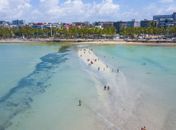 ‘Paraíso das Águas’: Alagoas enfrenta crise ambiental que ameaça praias, turismo e economia