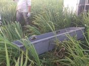 Corpo é encontrado em plantação na zona rural de Arapiraca