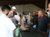 Feira do Peixe Vivo movimenta Mercado Público de Marechal Deodoro