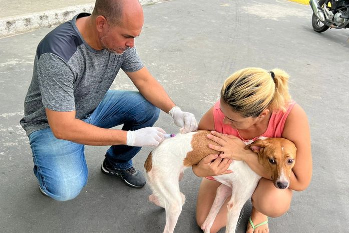 São Miguel dos Campos vacinou 7 mil animais contra a raiva