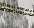 Ministro da Pesca e Aquicultura cumpre agenda em Alagoas nesta segunda-feira (19)