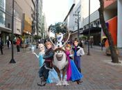 Temperaturas baixas no Brasil viram fábrica de memes na internet