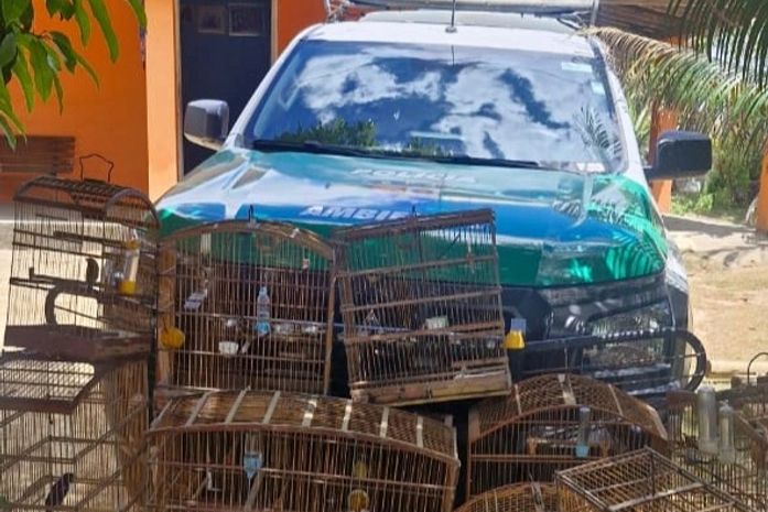 Denúncias levam à apreensão de armas e 25 aves na zona rural de Ibateguara