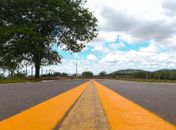 Homem e cavalo morrem após serem atropelados por caminhonete na BR-104