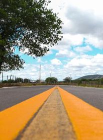 Homem e cavalo morrem após serem atropelados por caminhonete na BR-104