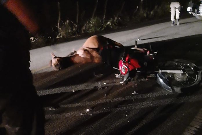 Motociclista e animal morreram em colisão próximo ao município de Cajueiro.