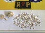 Durante abordagem, suspeita é encontrada com mais de 280 pedras de crack no interior