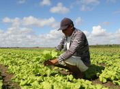Arapiraca Agroshow: Prefeitura lança feira que coloca o município no calendário agro nacional