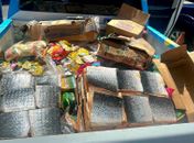 Vigilância Sanitária apreende 500 kg de produtos vencidos, em Maceió