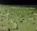 Centenas de bolas formadas por lama apareceram na faixa de areia em Peruíbe, SP