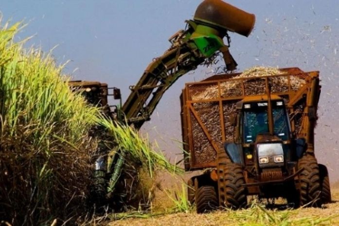 Crise do setor sucroenergético gera desemprego, mas expectativas são boas