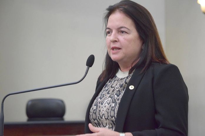 Nova Lei: de autoria da deputada Fátima Canuto, escolas e hospitais devem instalar painéis fotovoltaicos de energia elétrica