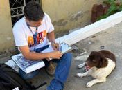 Saúde animal registra mais de quatro mil atendimentos no Brota na Grota