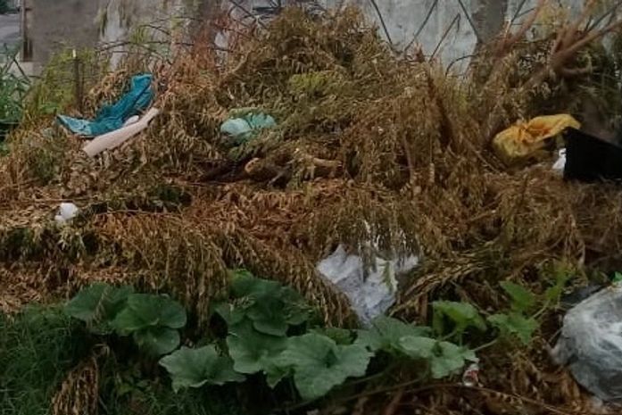 Corpo de bebê recém-nascida é encontrado em terreno abandonado