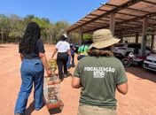 FPI devolve 167 animais silvestres à Caatinga após resgate em Alagoas