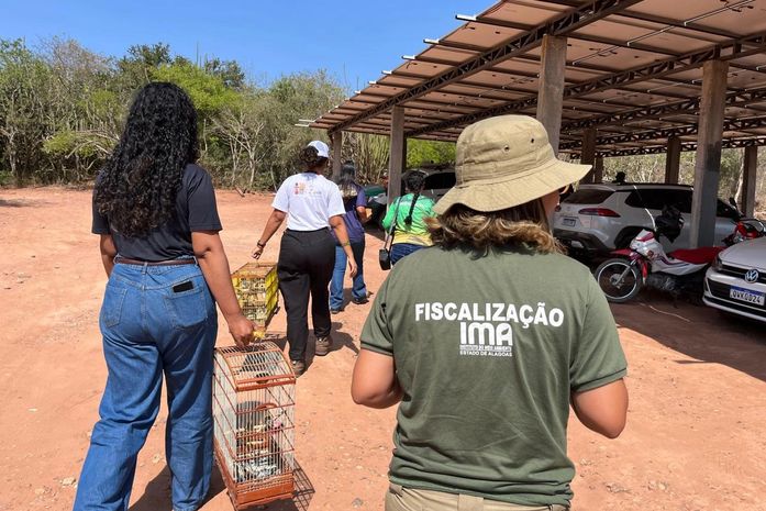 FPI devolve 167 animais silvestres à Caatinga após resgate em Alagoas