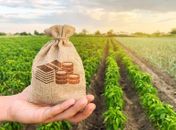 Cooperativa de Colonização Agropecuária de Penedo realiza 1º Circuito Agro Coopenedo com apoio da administração municipal, da iniciativa privada e outras instituições