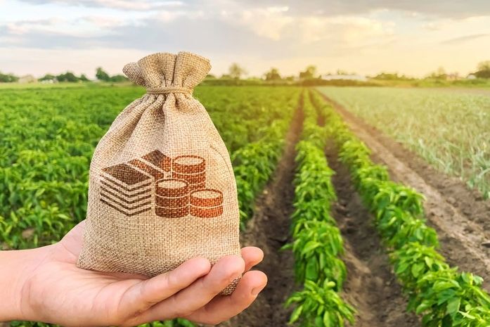 Cooperativa de Colonização Agropecuária de Penedo realiza 1º Circuito Agro Coopenedo com apoio da administração municipal, da iniciativa privada e outras instituições
