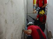 Em menos de três meses, Corpo de Bombeiros resgatou 240 animais em situação de risco