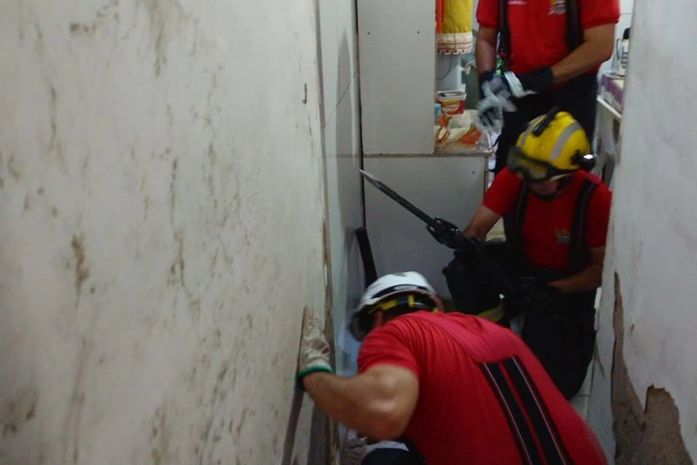 Em menos de três meses, Corpo de Bombeiros resgatou 240 animais em situação de risco