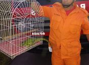 Animal foi libertado nas proximidades da Serra da Barriga.