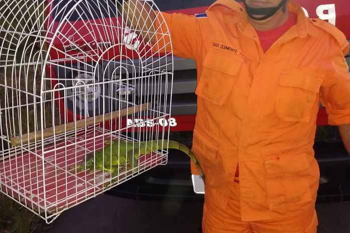 Animal foi libertado nas proximidades da Serra da Barriga.