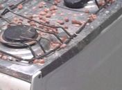 Panela de pressão explode e por pouco não provoca uma tragédia em povoado de Santana do Ipanema