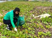 IMA promove ação educativa em alusão ao Dia Mundial de Limpeza das Praias e Rios
