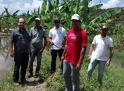 Secretaria de Agricultura e Meio Ambiente de São Miguel dos Campos realiza trabalhos no município