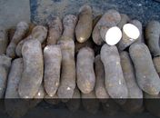 Receitas com inhame no Vale do Paraíba