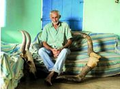 Agricultor desolado com a morte de seu gado