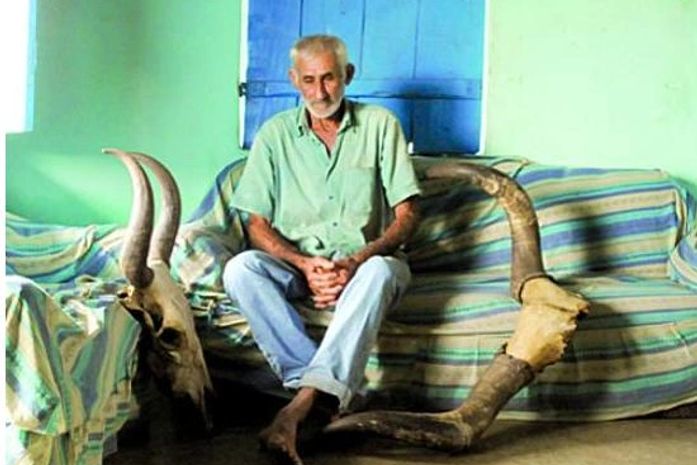 Agricultor desolado com a morte de seu gado
