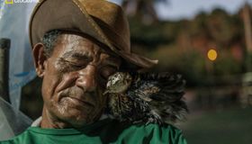 Foto de pernambucana sobre afundamento em Maceió fica entre as 25 do ano da National Geographic