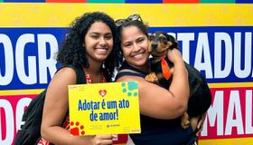 Dezembro Verde: Entenda como Alagoas combate o abandono e os maus-tratos contra animais