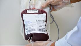 Hemoal promove coleta externa de sangue em União dos Palmares e Marechal Deodoro
