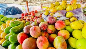 Alimentação saudável no Carnaval ajuda a prevenir problemas de saúde, alerta nutricionista