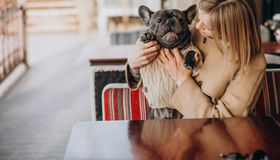 7 lugares pet friendly em Maceió para aproveitar com seu pet