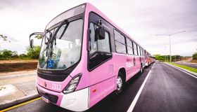 Ônibus exclusivos para mulheres em Maceió: 5 coisas que você precisa saber