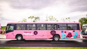 Ônibus exclusivo para mulheres começa a circular nesta segunda (6) em Maceió; confira linhas e horários