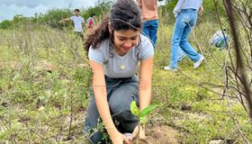 IMA/AL celebra Dia da Caatinga com plantio de mudas nativas em Ouro Branco