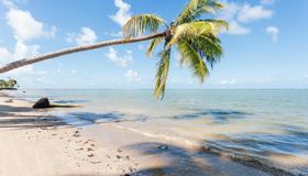 O Melhor do Turismo Brasileiro: Alagoas é finalista em prêmio do jornal Estadão