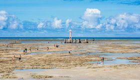 Praias de Alagoas estão entre as 15 melhores da América do Sul, aponta Tripadvisor