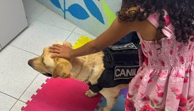 Cão de apoio emocional ajuda crianças vítimas de violência na Justiça alagoana