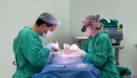 Hospital do Coração Alagoano realiza três transplantes no mesmo dia e transforma a vida de pacientes alagoanos