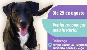 Procurando um melhor amigo? Feira de adoção acontece neste sábado em Maceió